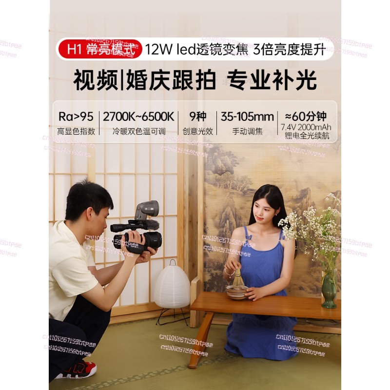 12W On‑Camera Flash Light, Dua - Photography Using Lighting 评论和价格