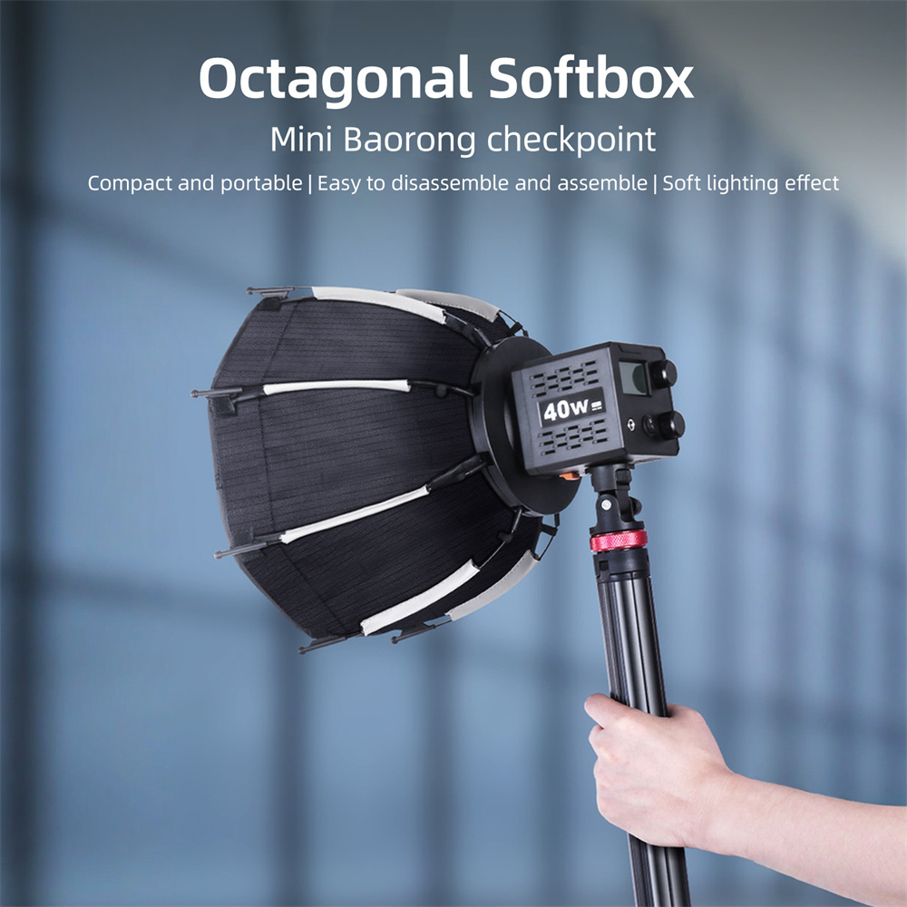 Softbox Mini Bowens Mount Lant - Photography Lighting Modifiers 评论和价格