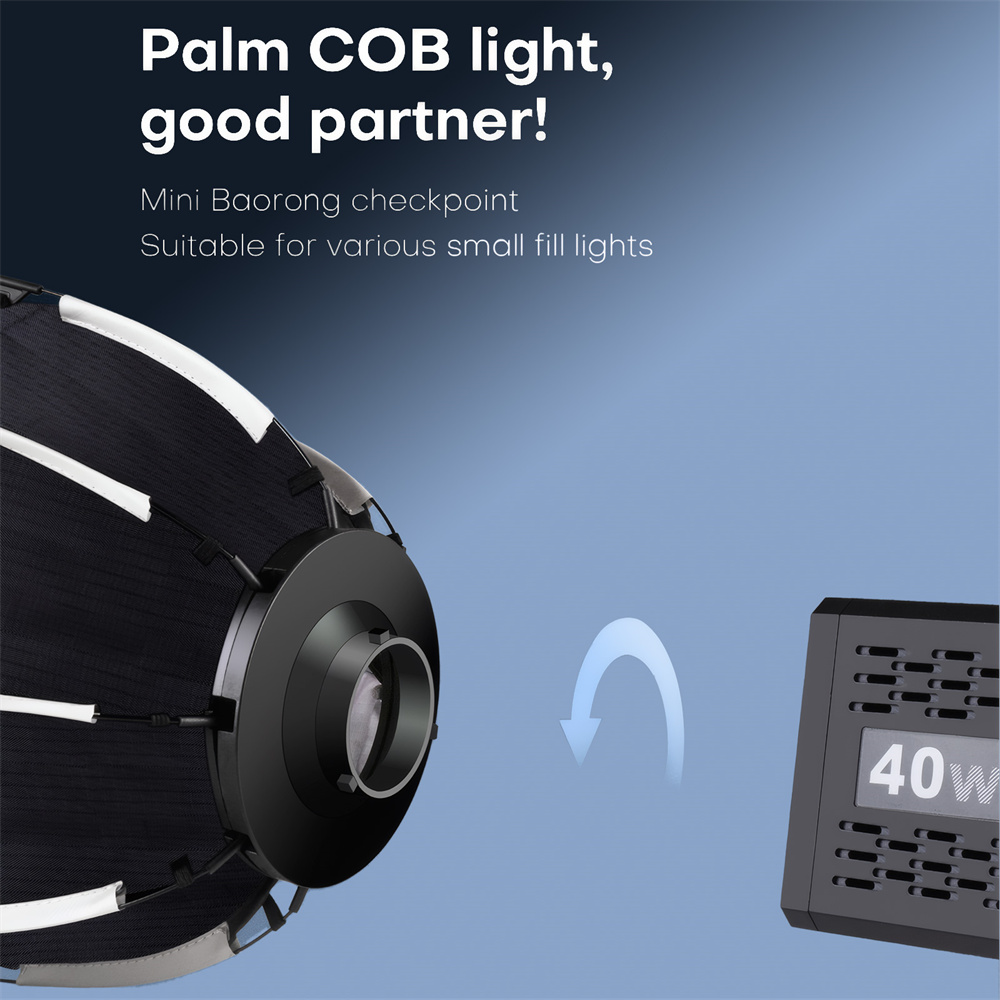 Softbox Mini Bowens Mount Lant - Photography Lighting Modifiers 评论和价格