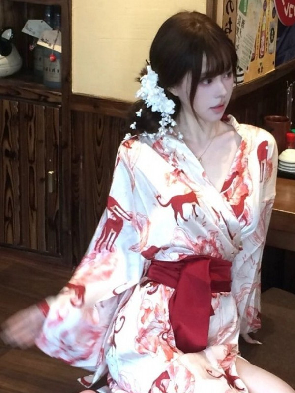 New Chinese Style Sleepwear Ha - Photography Lighting Home 评论和价格