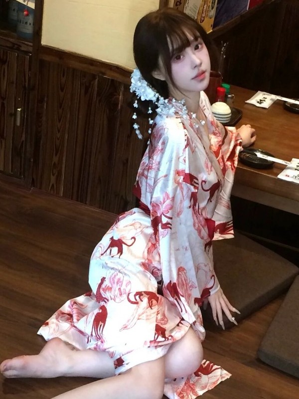 New Chinese Style Sleepwear Ha - Photography Lighting Home 评论和价格